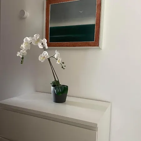 La Terrazza Sull'adriatico Apartment *